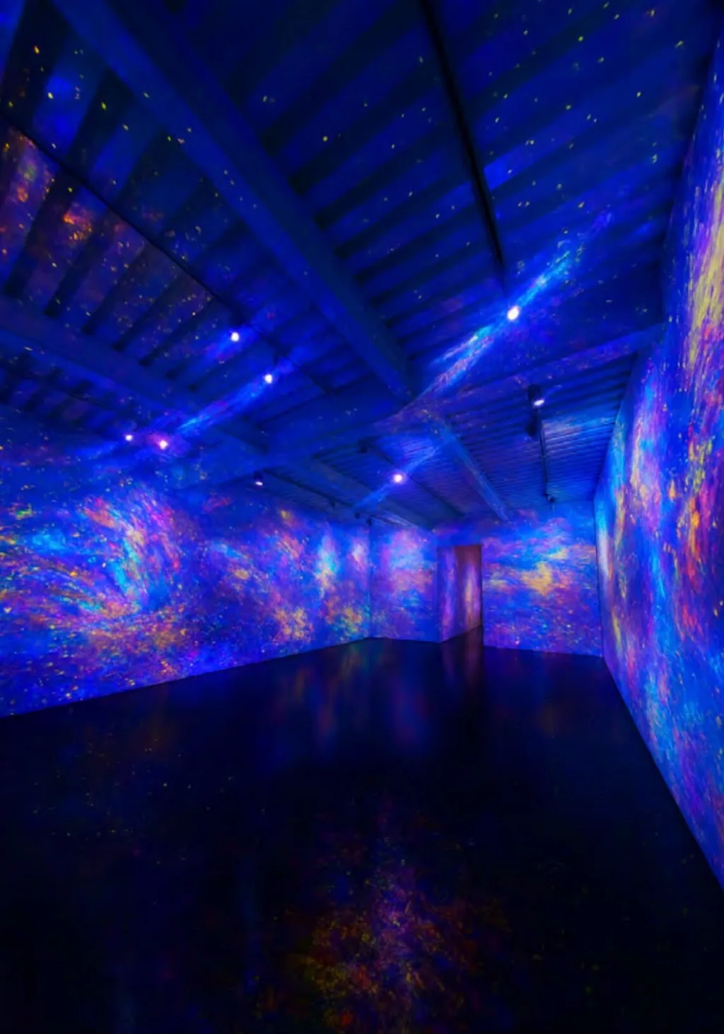 Salle d’exposition immersive éclairée en bleu et violet, avec projections lumineuses sur les murs et reflets sur le sol